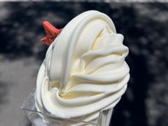-红星前进面包牛奶公司(畅春园店)