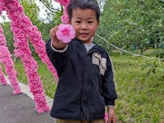 -祥源·阜阳生态乐园