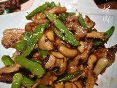 -猫头婴小酒馆FUN OWL(1912店)