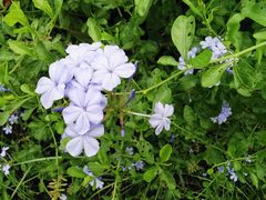 -南通洲际绿博园