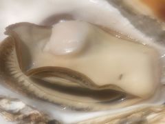 -杨氏青龙虾·羊蝎子(金盛路总店)