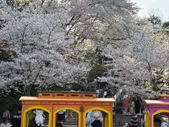 -杭州少年儿童公园