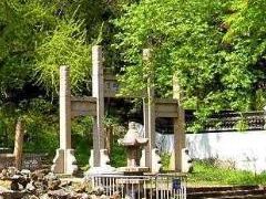 -亭林公园