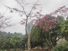 -晓港公园
