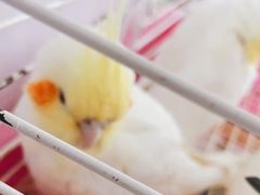 -三旗百汇商品城