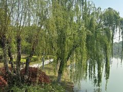 -桐乡植物园