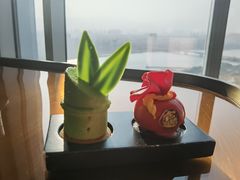 -三迪希尔顿酒店·星空酒廊