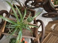 -茶马花街(城西银泰城店)