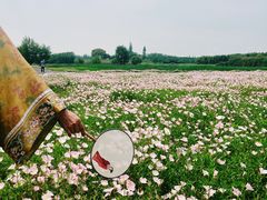 -良渚古城遗址公园