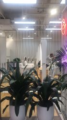 -P.STYLE派斯造型