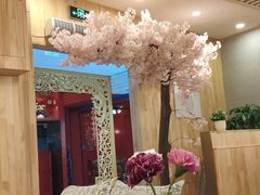 -食乐佳麻辣香锅(森林摩尔商业街区店)