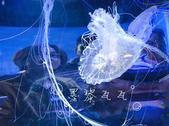 -横店影视城梦幻谷园区