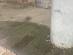 -哈尔滨大剧院