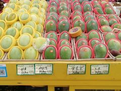 -三亚新鸿港水果一级批发市场