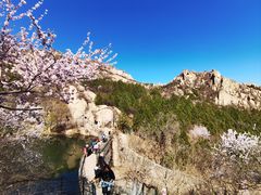 -北京凤凰岭