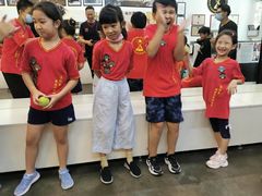 -温鉴良实用咏春拳