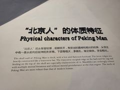 -北京周口店北京人遗址博物馆