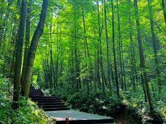 -凤栖山