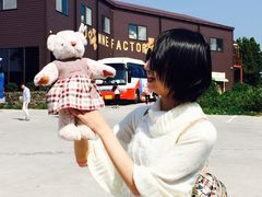 -济州岛泰迪熊博物馆