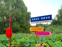 -洛阳市隋唐城遗址植物园