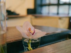-浅行深作咖啡坊