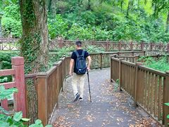 -素山寺森林公园