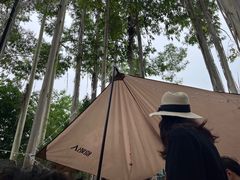 -桉树林A coffee 森林餐厅(三圣乡店)