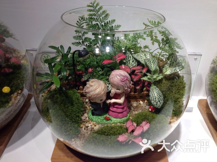 乐聚匠心微景观创意植物手工坊图片 - 第26张