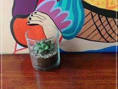 -Mesa Madre梅萨妈妈·Bintana(国贸店)