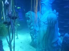 -沈阳海洋探索中心