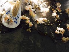 -霓裳茶舞(蒸湘万达店)