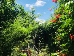 -斯多格书乡(北京大学畅春园店)