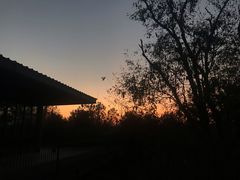 -白鹭湾湿地公园