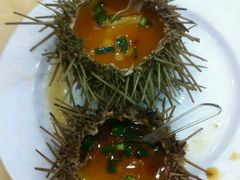 海胆蒸蛋-海岛渔村大酒店(云霄路店)