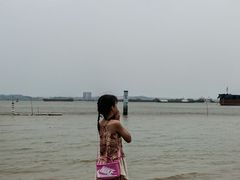 -南沙蒲洲花园