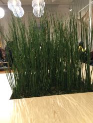 -悦诗风吟innisfree