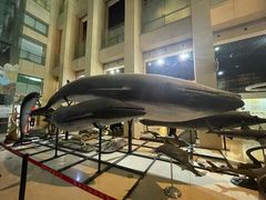 -国家自然博物馆