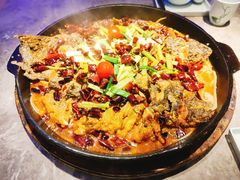 -老板恋上鱼(恒隆广场店)