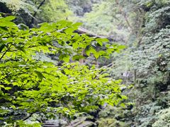 -藏龙百瀑风景区