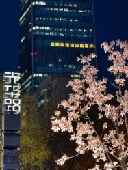 -北京嘉里大酒店·宴会厅婚宴·户外婚礼·生日宴