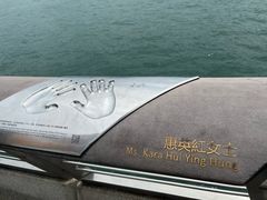 -星光大道