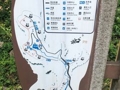 -都江堰中华大熊猫苑