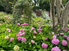 -上海共青森林公园