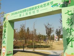 -上海长兴岛郊野公园