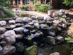 -白水寺森林公园