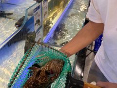 水产区-盒马鲜生(岭南新世界店)