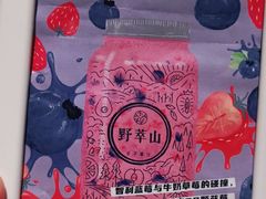 -野萃山·潮汕厚果汁(十亩地店)
