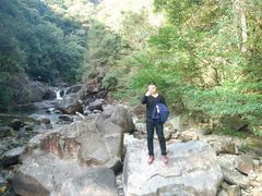 -花岩国家森林公园