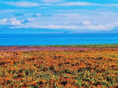 -青海湖国家重点风景名胜区