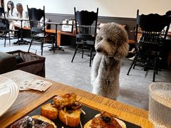 -沏点Trattoria意大利餐厅(新街口店)